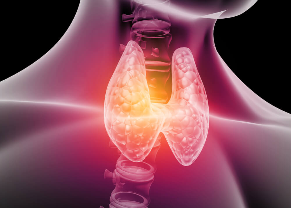 hilab Consultório Alde vitamina D